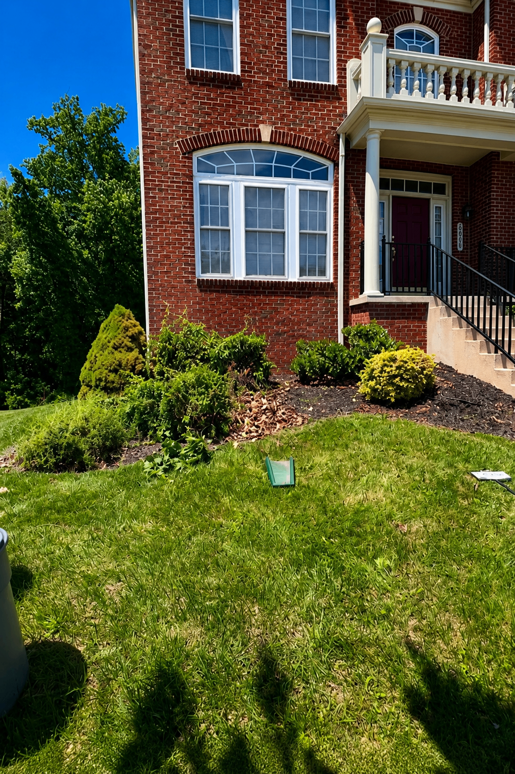 Colonial front lawn before